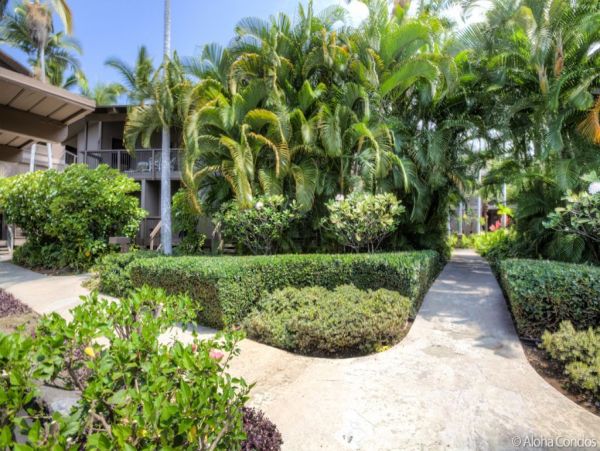 Kailua Kona Condo 955266