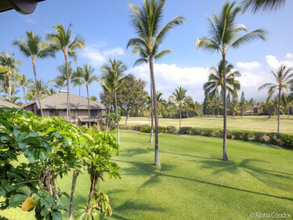 Kailua Kona Condo 955266