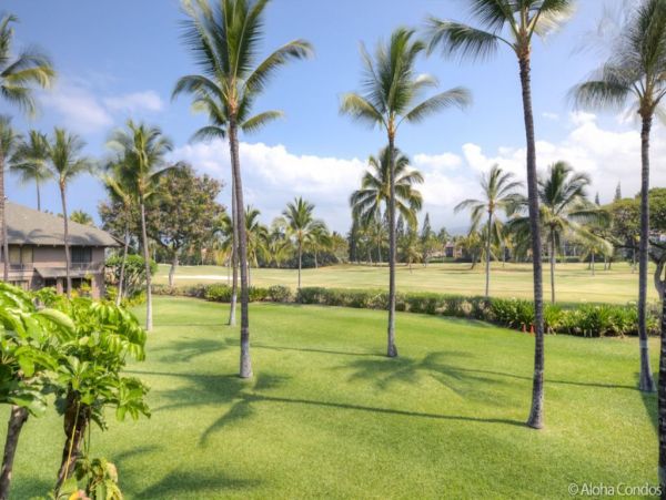 Kailua Kona Condo 955266
