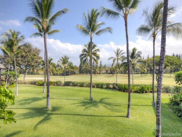 Kailua Kona Condo 955266