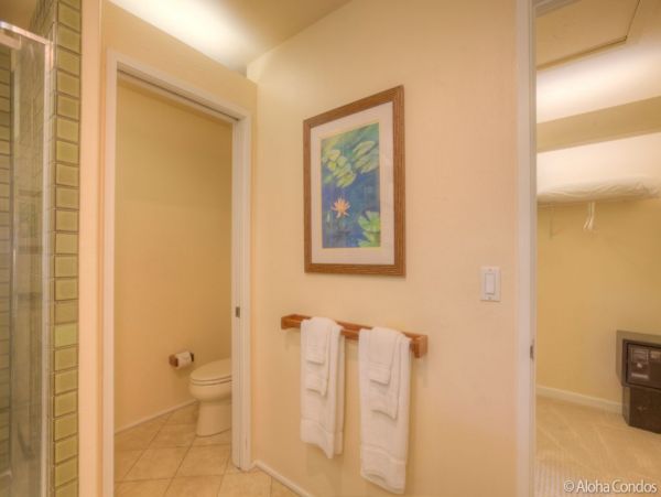 Kailua Kona Condo 955266