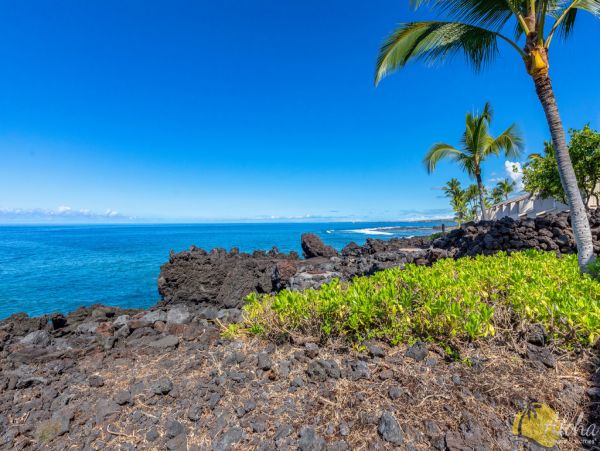 Kailua Kona Condo 955268