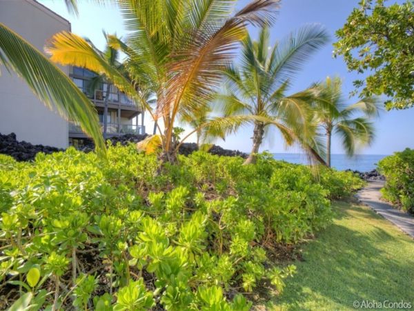 Kailua Kona Condo 955270