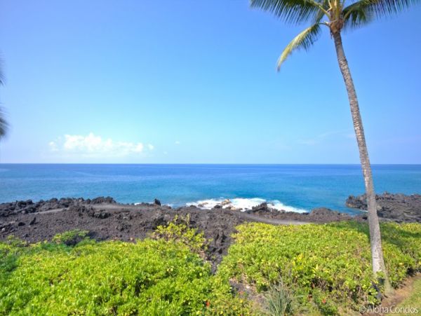 Kailua Kona Condo 955271