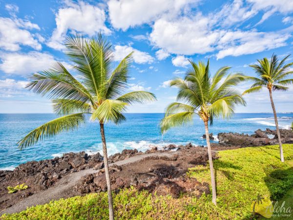 Kailua Kona Condo 955273