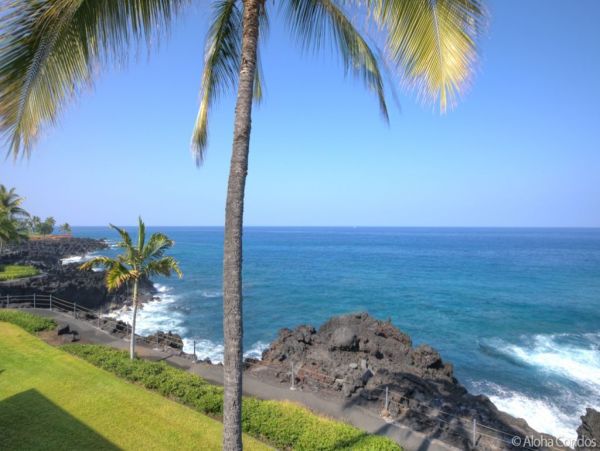 Kailua Kona Condo 955277