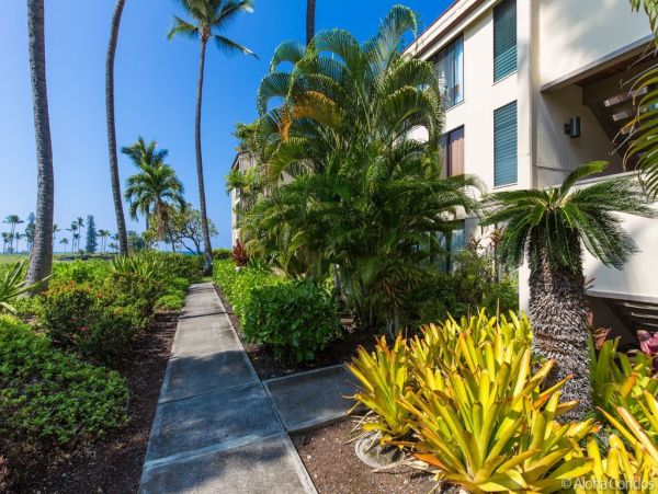 Kailua Kona Condo 955278