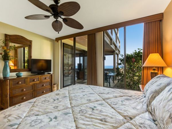 Kailua Kona Condo 955278