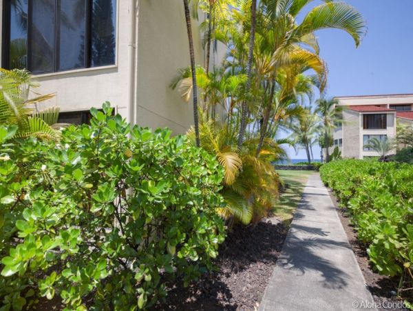 Kailua Kona Condo 955279