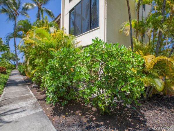 Kailua Kona Condo 955279