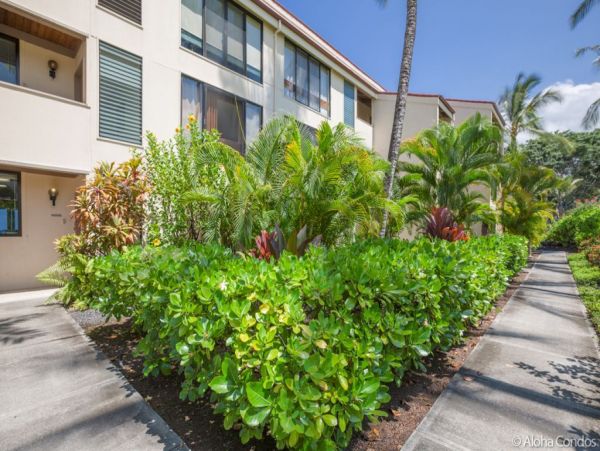 Kailua Kona Condo 955279