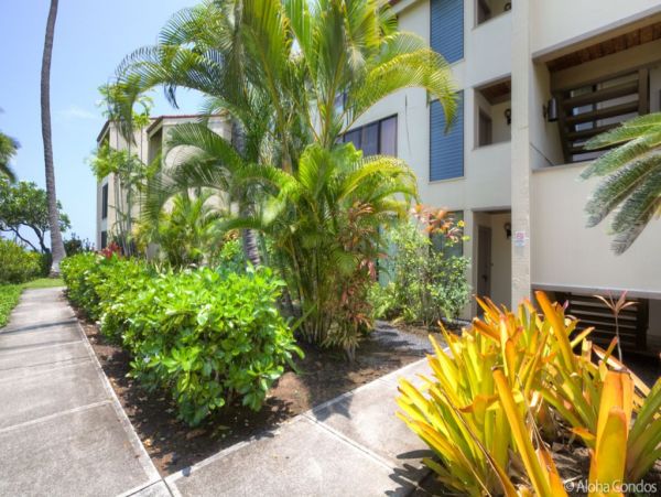 Kailua Kona Condo 955280