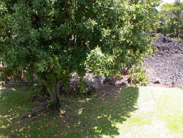 Kailua Kona Home 955282