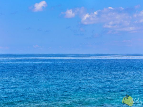 Kailua Kona Condo 955283