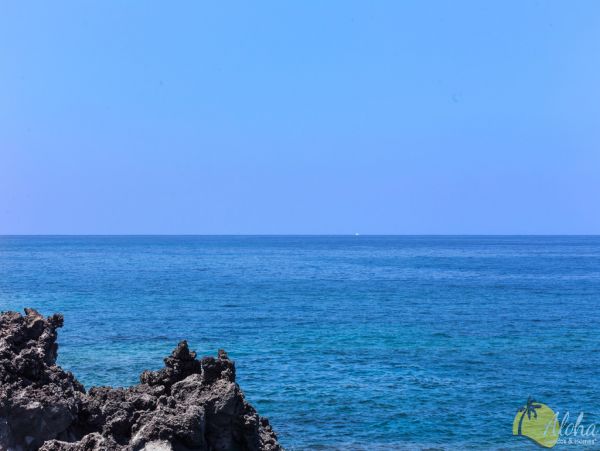Kailua Kona Condo 955283