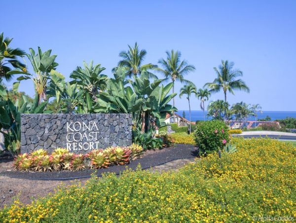 Kailua Kona Condo 955284