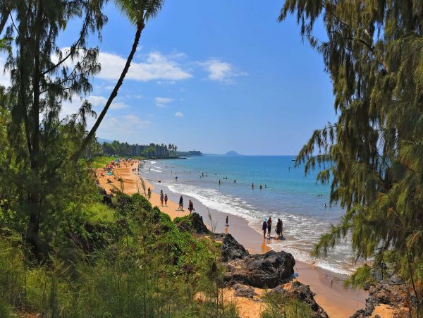 Walk to Beach Three Bedroom Rental Condo in Kihei