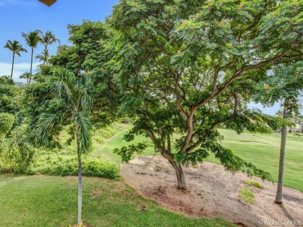 Kailua Kona Condo 955287
