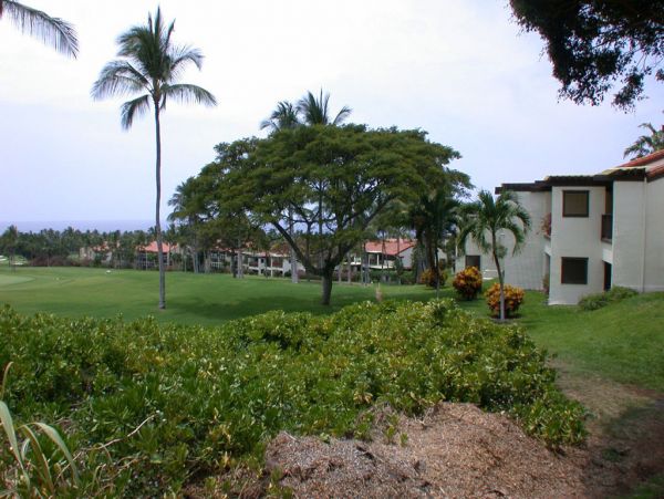 Kailua Kona Condo 955287