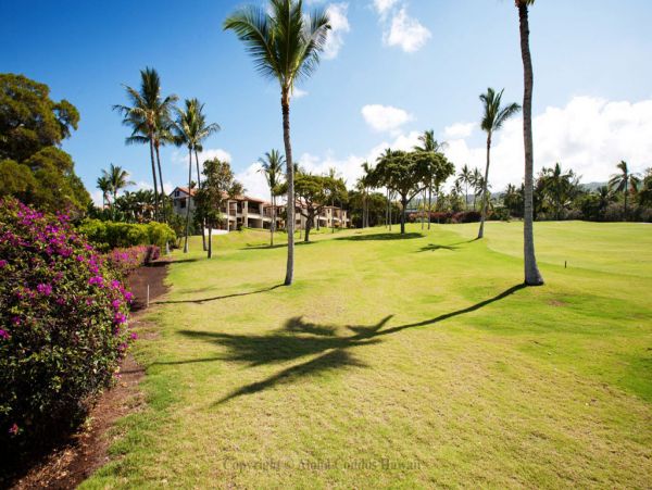 Kailua Kona Condo 955288