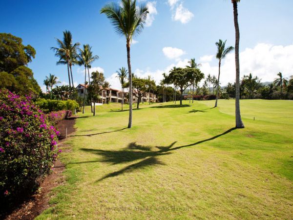 Kailua Kona Condo 955288