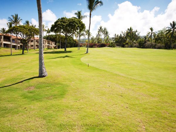 Kailua Kona Condo 955288