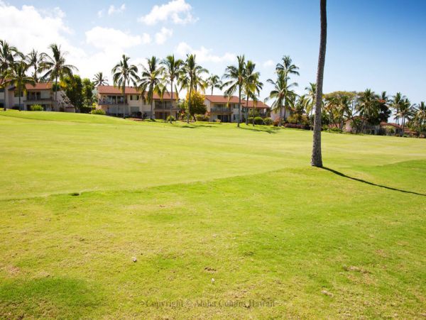Kailua Kona Condo 955288