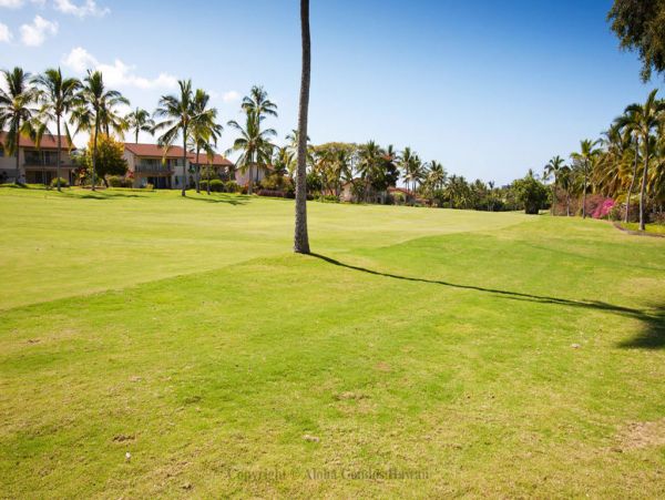 Kailua Kona Condo 955288