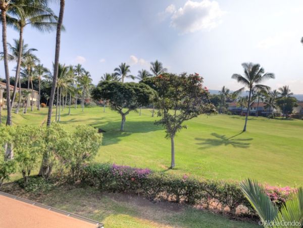 Kailua Kona Home 955289