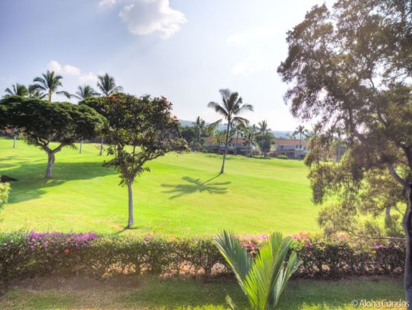 Kailua Kona Home 955289