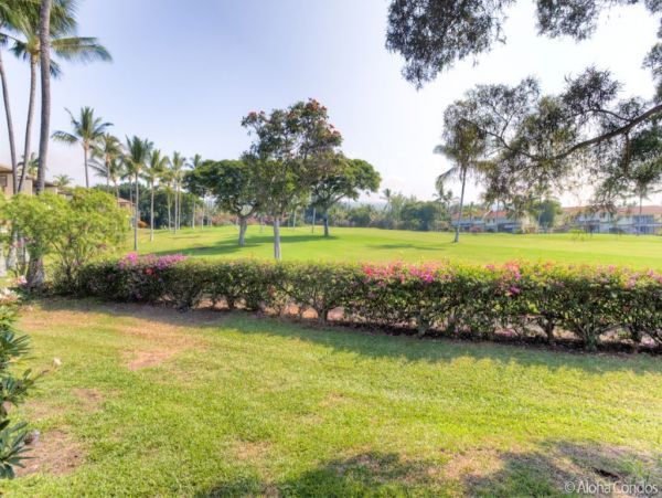 Kailua Kona Home 955289