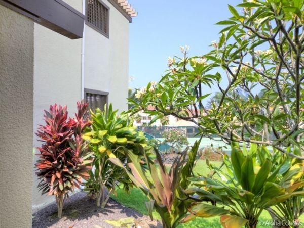Kailua Kona Condo 955290