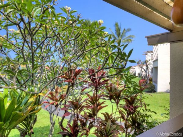 Kailua Kona Condo 955290