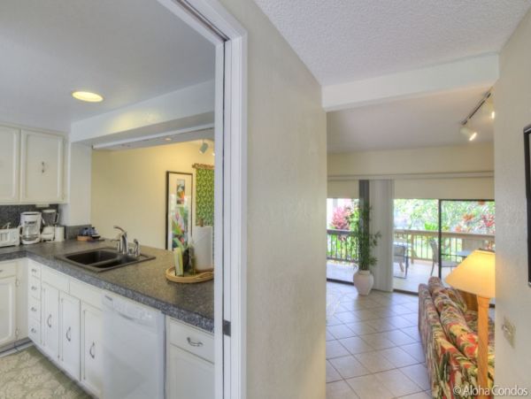 Kailua Kona Condo 955290