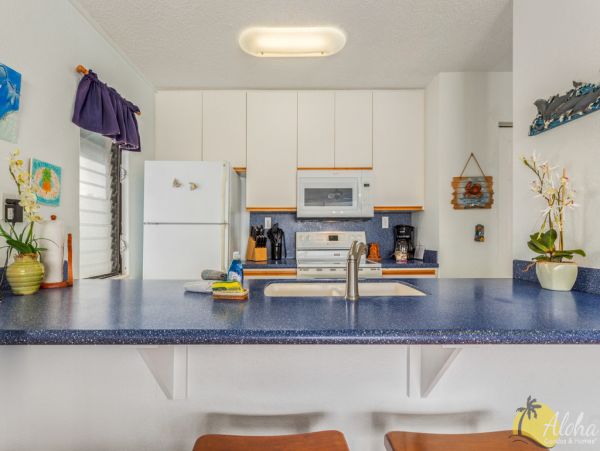 Kailua Kona Condo 955291