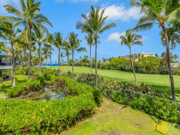 Kailua Kona Condo 955292