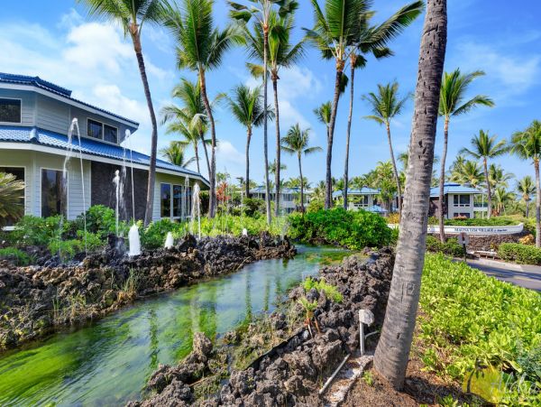 Kailua Kona Condo 955292