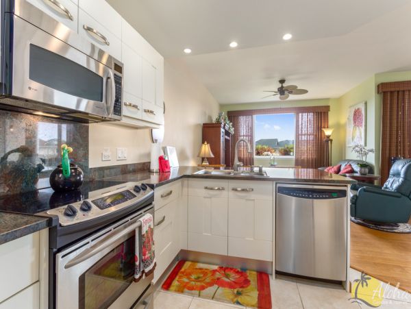 Kailua Kona Home 955296