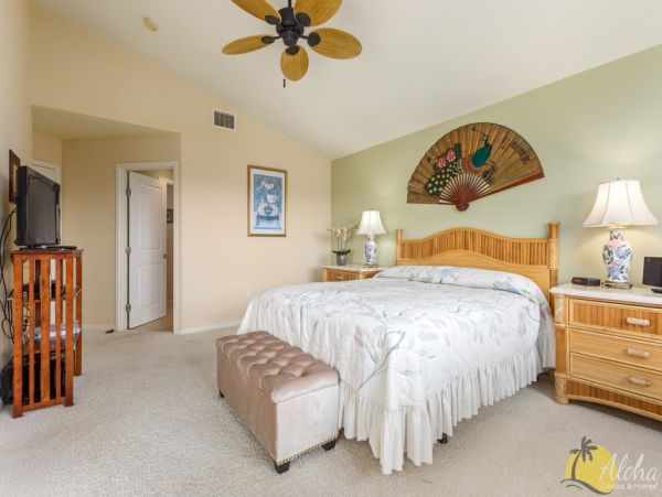 Kailua Kona Home 955296