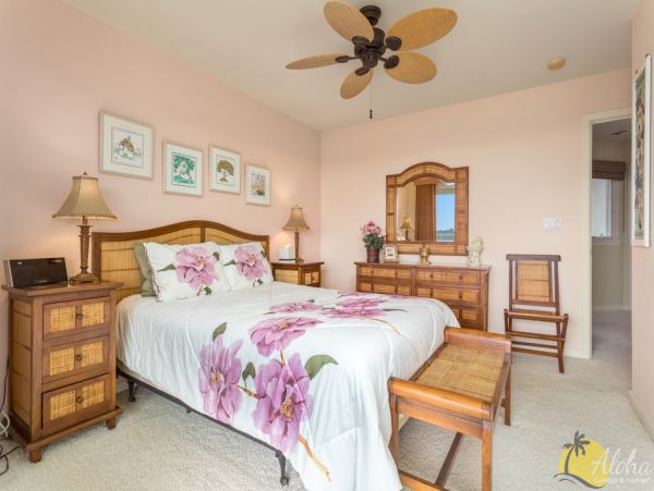 Kailua Kona Home 955296