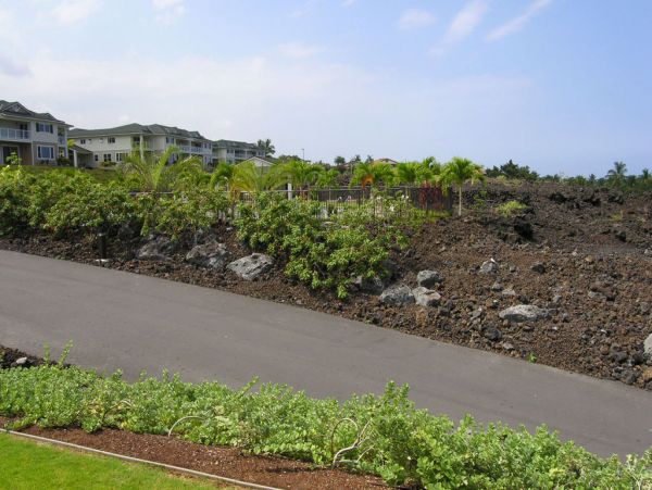 Kailua Kona Home 955297