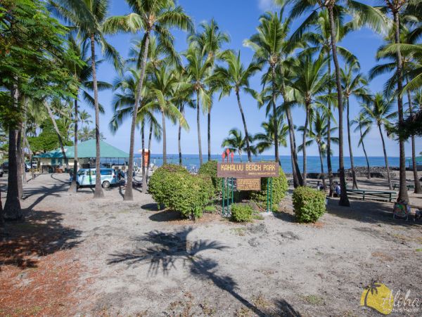 Kailua Kona Home 955299