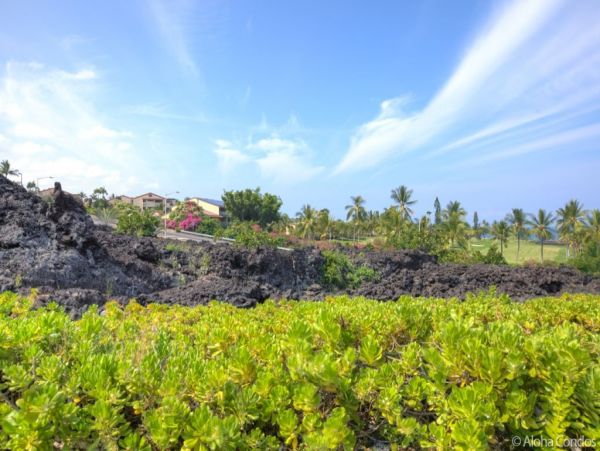 Kailua Kona Home 955300