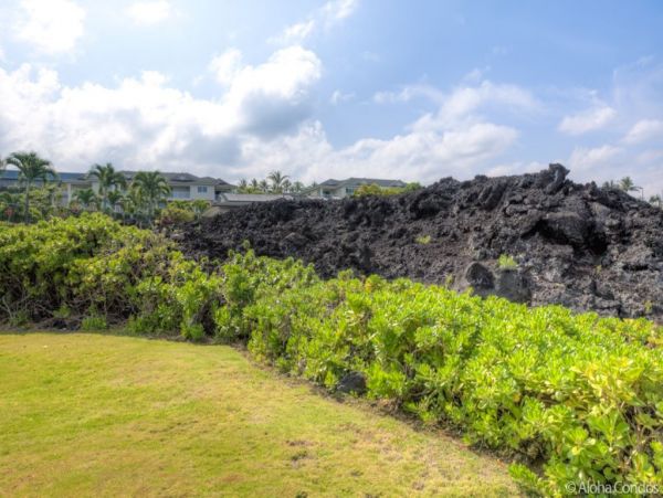 Kailua Kona Home 955300