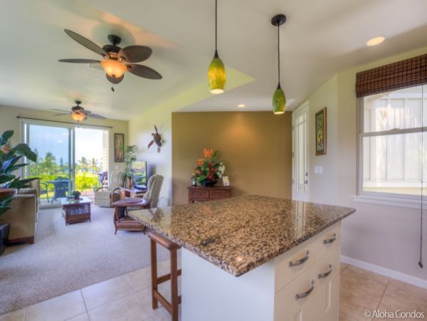 Kailua Kona Home 955300