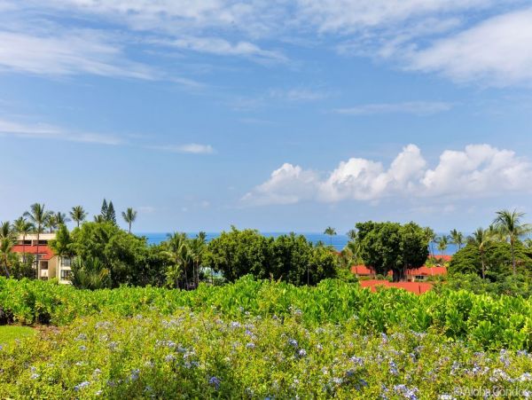 Kailua Kona Condo 955302