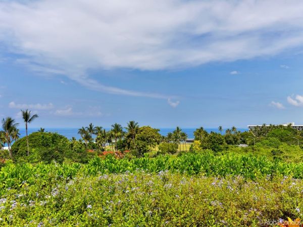 Kailua Kona Condo 955302