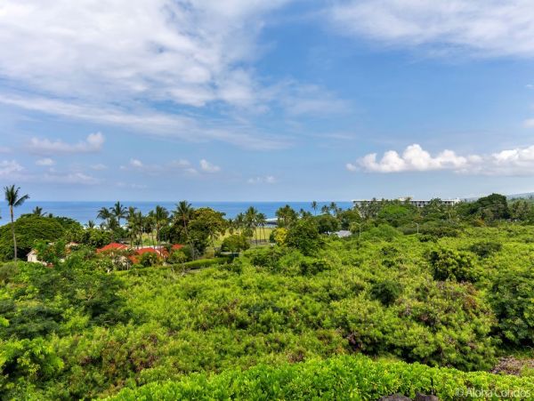 Kailua Kona Condo 955302