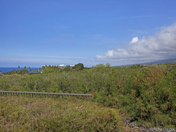 Kailua Kona Home 955303