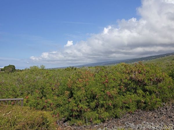 Kailua Kona Home 955303